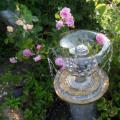 Розовый сад с фонтаном