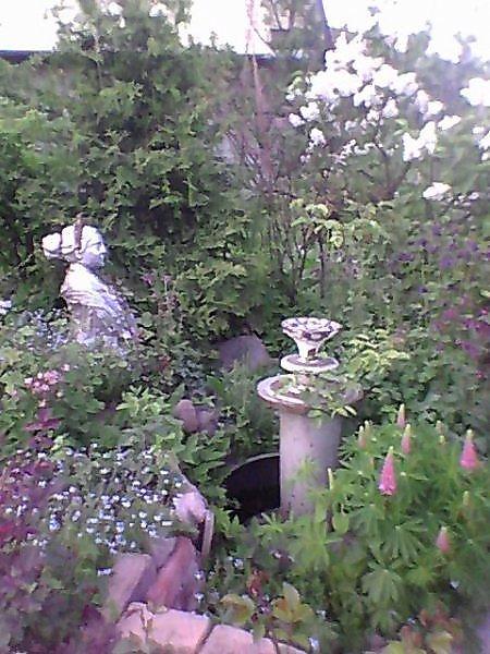 Романтический розовый сад