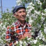 Халилов Франс Хасанович (садовод-любитель, кандидат сельскохозяйственных наук с опытом более 30 лет)