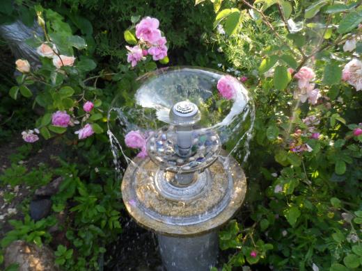 Розовый сад с фонтаном