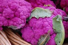 Фотография цветной капусты «Пурпурная»
