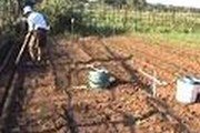Увеличение плодородия почвы по Миттлайдеру